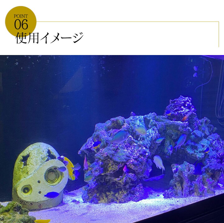 楽天市場 Led 水槽 アクアリウムライト E26 水槽ライト w 水槽対応 水槽用照明 アクアリウム ライト Rgb 観賞魚ライト 熱帯魚 ライト 観賞魚飼育 ビオトープ 水草育成 海水 サンゴ ライブロック Ldraq W38 ビームテック ビームテック