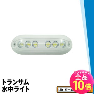 �y�S�i�|�C���g10�{���G���g���[�K�v�z�g�����T���������C�g LED �������C�g �A�N�A���C�g ������ ���{�� B12W-RGB AquaIDEA Japan