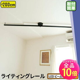 【P10倍以上+最大56%OFF！エントリー必須】ダクトレール 2m ダクトレール ライティングレール シーリングライト おしゃれ スポットライト 間接照明 2m 200cm 2000mm DRS200-SIII