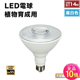 【10日まで全品P10倍!エントリー必須】LED 植物育成 水耕栽培 LEDライト 観葉 植物 育成 ガーデニング 植物育成ライト E26 LG14PAR38-YW ビームテック