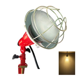 LEDdt NvCg Op Ɠ  Ɩ Ɩp ItBX H  Ɨp Cg NvCg [NCg ClampPar38-LDR17