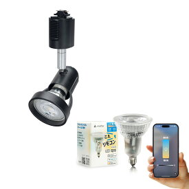 ダクトレール スポットライト 照明 ライト レールライト E11 LED電球付き 50W 相当 38度 調光 調色 音声 認識 ライト Alexa こえリモ Matter Echo スマホ対応