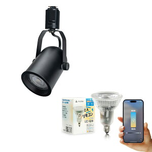 ダクトレール スポットライト 照明 ライト レールライト E11 LED電球付き 50W 相当 38度 調光 調色 音声 認識 ライト Alexa こえリモ Matter Echo スマホ対応