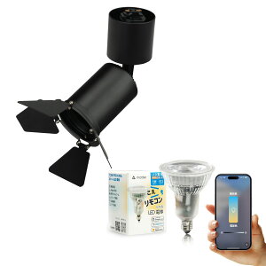 _Ng[ X|bgCg Ɩ Cg [Cg E11 LEDdt 50W  38x  F  F Cg Alexa  Matter Echo X}zΉ