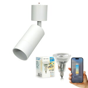 _Ng[ X|bgCg Ɩ Cg [Cg E11 LEDdt 50W  38x  F  F Cg Alexa  Matter Echo X}zΉ