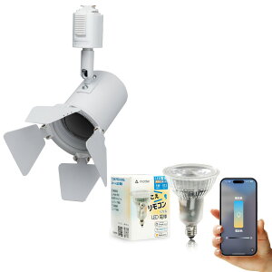 _Ng[ X|bgCg Ɩ Cg [Cg E11 LEDdt 50W  38x  F  F Cg Alexa  Matter Echo X}zΉ