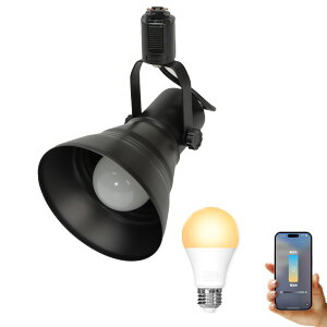 _Ng[ X|bgCg Ɩ Cg [Cg E26 LEDdt 80W  210x  F  F Cg Alexa  Matter Echo X}zΉ