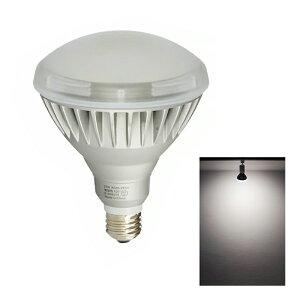 yʌzLEDd E26 160W  oXgXⓔ` dF 2400lm F 2500lm F 2500lm LDR20-MGW38 r[ebN