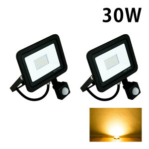 yʌzLED ZT[ dF F  30W IP65  O ho ϐo h LES030 r[ebN