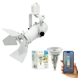 ダクトレール スポットライト 照明 ライト レールライト E11 LED電球付き 50W 相当 38度 調光 調色 音声 認識 ライト Alexa こえリモ Matter Echo スマホ対応