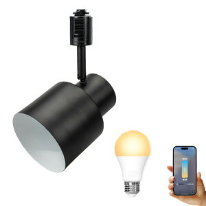 _Ng[ X|bgCg Ɩ Cg [Cg E26 LEDdt 80W  210x  F  F Cg Alexa  Matter Echo X}zΉ