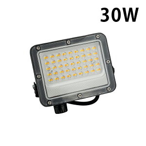 �yP10�{�ȏ�!�G���g���[�K�{�zLED������ �d���F �����F �����F �� �� 30W IP65 ���� ���O �h�o �ϐo �h��