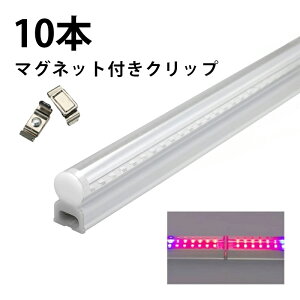 10{Zbg LED A琬 k͔| LEDCg ϗt A 琬 K[fjO A琬Cg LEDu 40W ̌^  T5 LED ǌu LEDu VƖ ԐڏƖ IƖ V[P[X