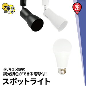 【数量限定】【リモコン別売り】ダクトレール スポットライト 照明 ライト レールライト E26 LED電球付き 60W 相当 210度 調光 調色 電球色 昼白色 昼光色 工事不要 黒 白 E26RCR-LDA8W2C1R ビームテ