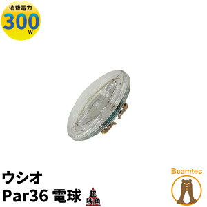 USHIO EVId Par36 JP100V300WC/VN/S3/S r[ebN