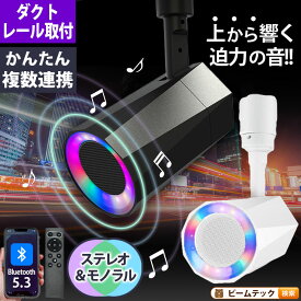 ステレオ Bluetooth スピーカー 2個セット TWS 小型 ポータブルスピーカー 高音質 iPhone Android おしゃれ ブルートゥース 12W リモコン付き 黒 白 部屋 リビングダイニング キッチン 寝室 美容院 アパレル 店舗 サロン 洗面所 LDRSPK12ST ビームテック