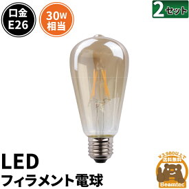 2個セット LED電球 E26 30W 相当 300度 フィラメント エジソン レトロ 北欧 虫対策 濃い電球色 300lm LDST4H-FD-BT-G--2 ビームテック