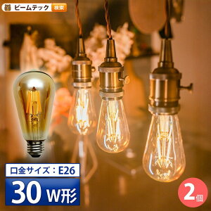 2�Z�b�g LED�d�� E26 30W ���� 300�x �t�B�������g �G�W�\�� ���g�� �k�� �Z���d���F 300lm LDST4H-FD-BT-G--2 �r�[���e�b�N