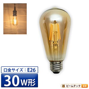 LED�d�� E26 30W ���� 300�x �t�B�������g �G�W�\�� ���g�� �k�� �Z���d���F 300lm LDST4H-FD-BT-G �r�[���e�b�N