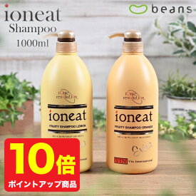 【ポイント10倍】イオニート フルーティーシャンプー エキストラ 1000ml【 イオニート シャンプー 1000 オレンジ レモン ノンシリコン アミノ酸 シャンプー 美容室専売 セット 低刺激 無添加 ヘアケア 育毛 女性 メンズ ハリ ボリューム くせ毛 さらさら フケ かゆみ 】