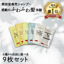 【1000円ポッキリ】イオニート エッセンスVシャンプー トリートメント 10ml×9枚 セット ノンシリコン アミノ酸 ヘアケア トラベルセット トライアルセット お試しセット 美容室専売 育毛 女性 メンズ くせ毛 フケ かゆみ 抜け毛 パウチ 薄毛