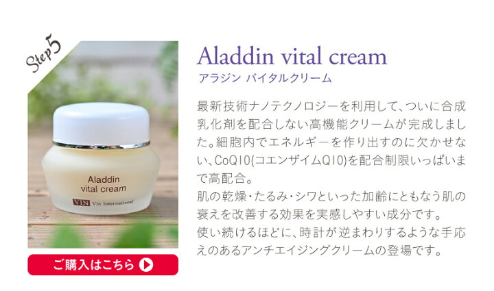 楽天市場】【ポイント10倍】VIN（ バン ）イオニート アラジン 