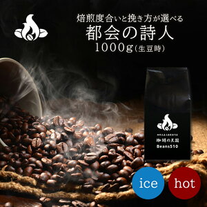 yzs̎l(1Kg) R[q[  ubN JtFI w ݔ  ACXR[q[ GXvb\   ACX R[q[ [X^[   蓤 