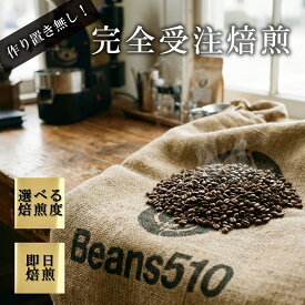 キリマンジャロAA(200g/生豆時) コーヒー豆 おいしい ブラック カフェオレ 焙煎指定 飲み比べ 美味しい アイスコーヒー エスプレッソ 珈琲 豆 アイス コーヒー ロースター 生豆 焙煎 珈琲豆