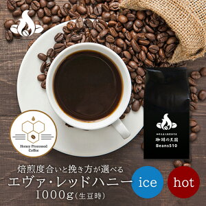 【送料無料】エヴァ レッド ハニー(1kg)パルプドナチュラル ハニー コーヒー豆 おいしい ブラック カフェオレ 焙煎指定 飲み比べ 美味しい アイスコーヒー エスプレッソ 珈琲 豆 アイス コー