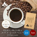 【今月のサービス豆】エヴァ レッド ハニー(200g/生豆時) アイス 手摘み ハニー プロセス スペシャルティ コーヒー豆 おいしい ブラック カフェオレ バルプド ナチュラル 飲み比べ 美味しい アイスコーヒー エスプレッソ 珈琲 豆 アイス コーヒー ロースター 焙煎 珈琲豆