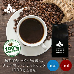 【送料無料】グァテマラ・アティトゥラン(1kg) 有機栽培コーヒー豆 コーヒー豆 おいしい ブラック カフェオレ 焙煎指定 飲み比べ 美味しい アイスコーヒー エスプレッソ 珈琲 豆 アイス コー