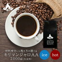 【送料無料】キリマンジャロAA(2kg/生豆時) 2000g 業務用 コーヒー豆 おいしい ブラック カフェオレ 焙煎指定 飲み比べ 美味しい アイスコーヒー エスプレッソ 珈琲 豆 アイス コーヒー ロースター 生豆 焙煎 珈琲豆 送料無料 福袋