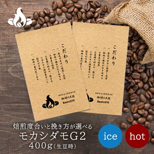 JV_G2i400g/j 200g 2 R[q[  ubN JtFI w ݔ  ACXR[q[ GXvb\   ACX R[q[ [X^[   