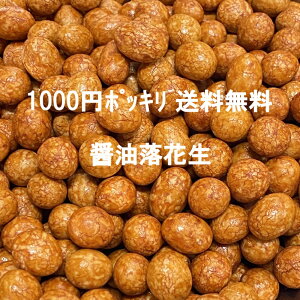 󂠂 ݖԐ 480g 1000~|bL  1000~ ibc َq َq َq ܂  ƈ  Mtg v`Mtg َq َq  XC[c   ݖ 傤