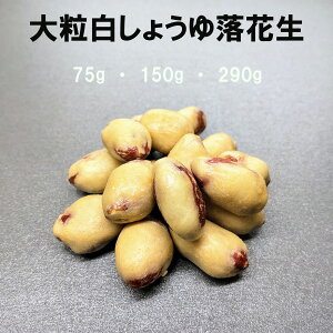 嗱傤䗎Ԑ َq َq ƈ  ܂ N  r[ v`Mtg   َq َq Ԑ 傤 ݖ َq  `bNt sy 3980~ȏゲ