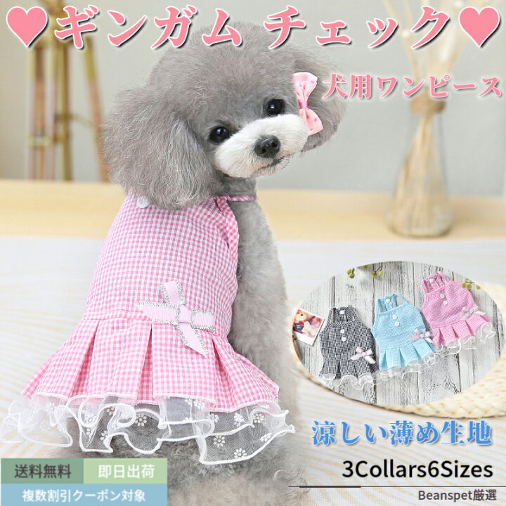 楽天市場】【2点で20％OFFクーポン対象商品組み合わせ可能】 犬 