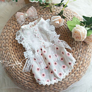 y݌Ɉ|20%OFFN[|z s[X Tt[ [X ԕ uh     ̕ hbOEFA L ^ ^ ybgp  m  t t 