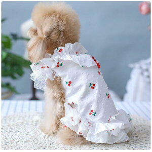 y݌Ɉ|20%OFFN[|z s[X 100% `F[  uh    ̕ hbOEFA L ^ ^  m  t  t