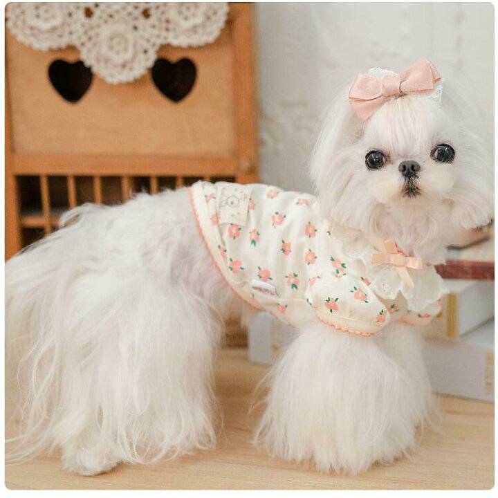 楽天市場 新発売 犬 ワンピース カットソー インナー フラワーガーリー 犬服 ブランド 高級 犬 服 犬の服 ドッグウェア 猫 小型犬 中型犬 おしゃれ 洋服 可愛い 春 夏 春夏 Beanspet 楽天市場店