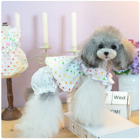 【在庫一掃20%OFFクーポン】 2点セット 犬服 ワンピース taniwina レインボーハート トップス レース パンツ ブランド 高級 犬 服 犬の服 ドッグウェア 小型犬 中型犬 おしゃれ 洋服