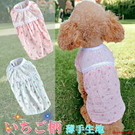 【在庫一掃20%OFFクーポン】 犬ワンピース スイートいちご柄 犬服 犬 小型犬 服 犬の服 ドッグウェア 中…