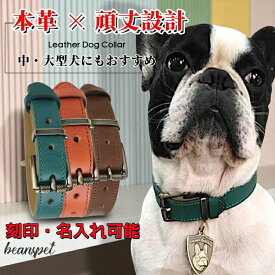 名入れ無料 犬用 本革首輪 厚手レザー 首回り調整可能 ベルトタイプ 小型犬 中型犬 大型犬対応 迷子札リング付き 牛革製 おしゃれカラー 5サイズ展開 丈夫で長持ち