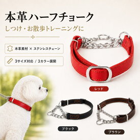犬用本革ハーフチョークカラー レザーチョークチェーン首輪 小型犬から大型犬まで対応 トレーニングやしつけに最適な首輪 3サイズ展開でフィット感抜群 引っ張り防止や抜け防止におすすめ