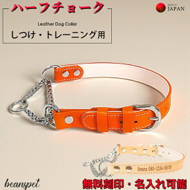 【P5倍アップ中】【楽天ランキング入賞】 名入れ無料 犬用ハーフチョーク 本革 日本製 しつけ トレーニング 小型犬 中型犬 大型犬 レザー首輪チェーン式 調整可能 高耐久 おしゃれ S〜L 5色