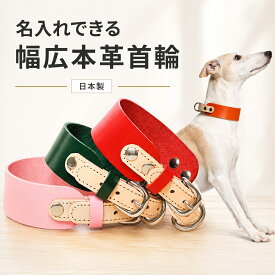 犬 首輪 本革 幅広 名入れ無料 日本製 牛ヌメ革 イタグレ ウィペット サルーキ ボルゾイ 小型犬 中型犬 大型犬 ベルトタイプ 迷子対策 XS S M L 8色
