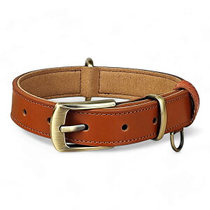 yP5{Abvz  \ {v p XS`XLTCYΉ yʐ݌vŏ^^܂őΉ {vU[J[  v Up bh ubN u[ CG[ L