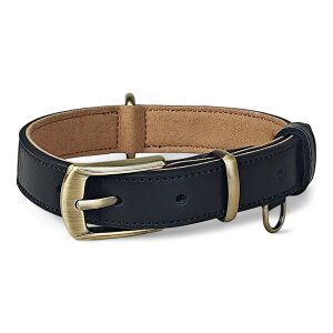 yP5{Abvz  \ {v p XS`XLTCYΉ yʐ݌vŏ^^܂őΉ {vU[J[  v Up bh ubN u[ CG[ L