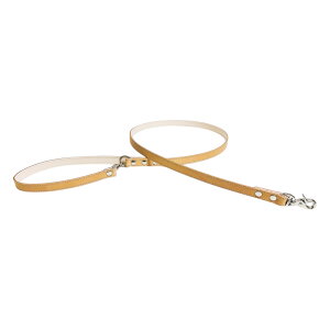 yP5{Abvz {JtFX^C{vp[hikvgpO\ȎtňꎞŒɕ֗^^Ή񖇊vd˂őϋvQőIׂS8F