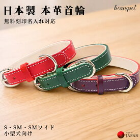 S SM SMワイド 犬 首輪 本革 日本製 名前入り 名入れ無料 刻印 牛革 レザー 小型犬 2層仕様 8カラー おしゃれ かわいい