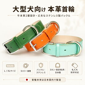 新発売 犬 首輪 大型犬 本革 レザー 名入れ 刻印 幅広 3.5cm L XL 牛本革2層設計 ステンレスバックル 日本国内製造 レッド ピンク オレンジ ミントブルー ボトルグリーン